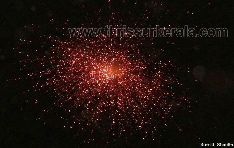 thrissur-pooram-2011- (118)